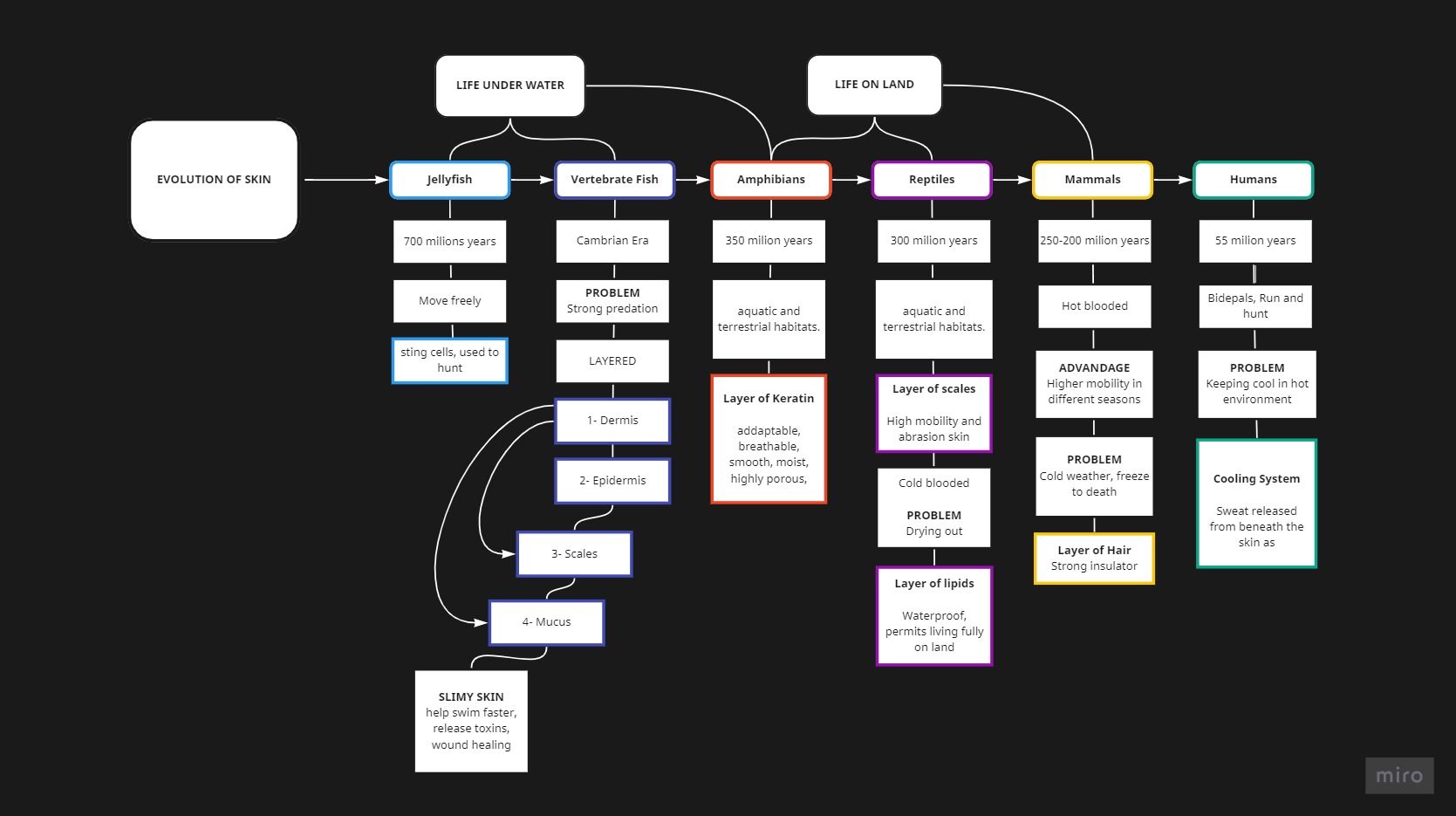 UX-of-Skin-Frame-1