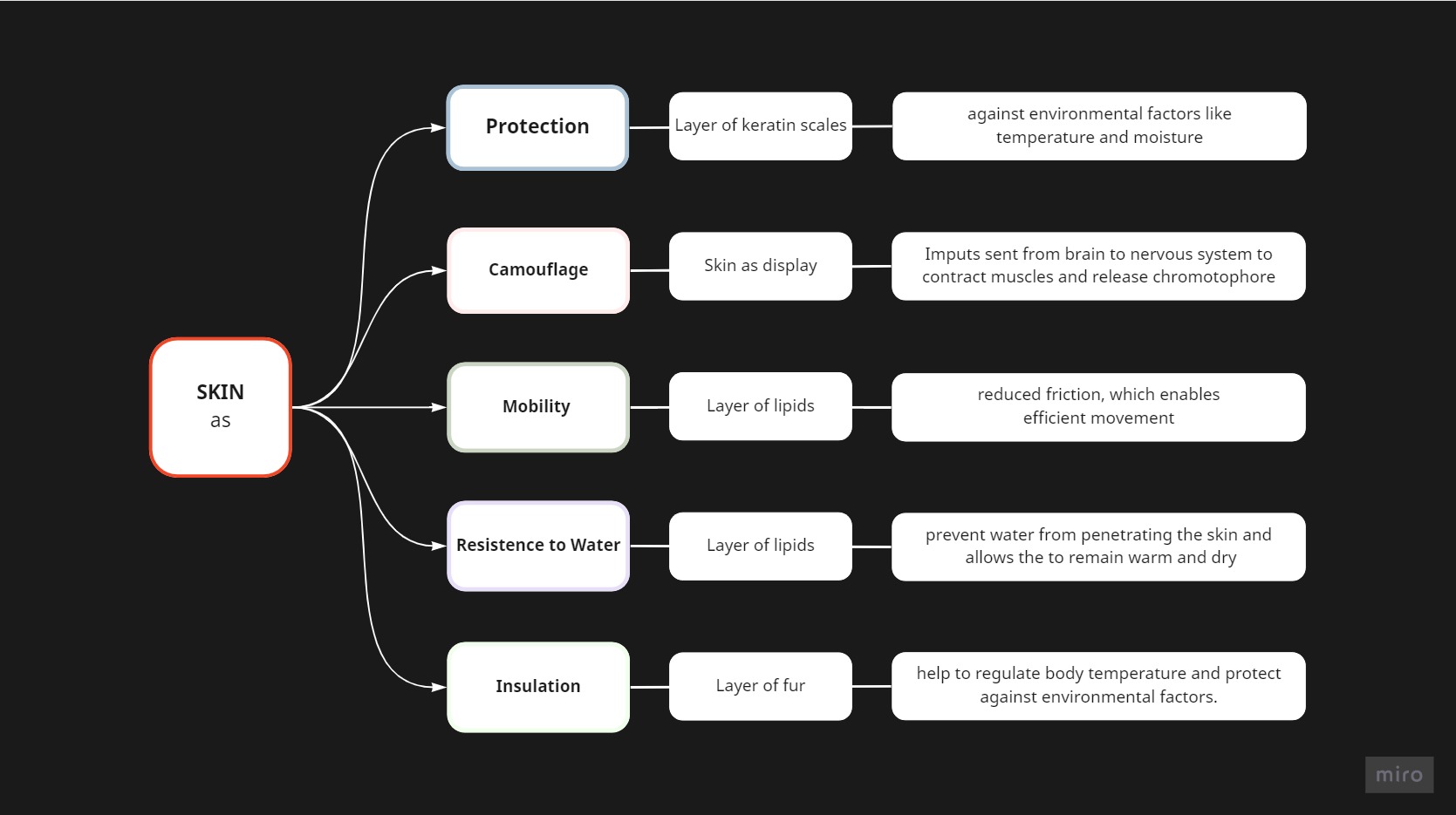 UX-of-Skin-Frame-2